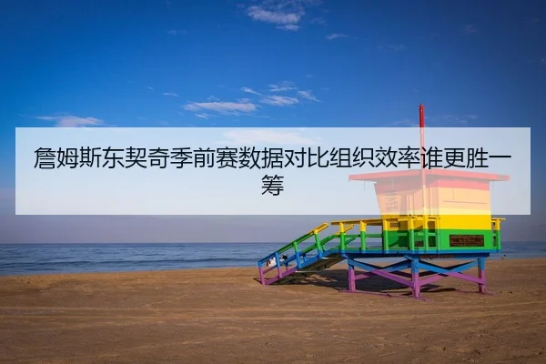 詹姆斯东契奇季前赛数据对比组织效率谁更胜一筹